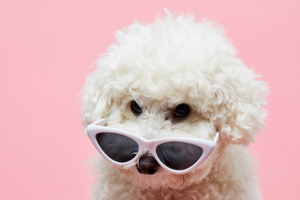 갤러리 이미지10